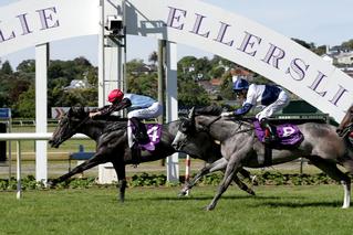 On The Rocks claimed the $50,000 Listed Trevor Eagle Memorial at Ellerslie. Photo: Trish Dunell.